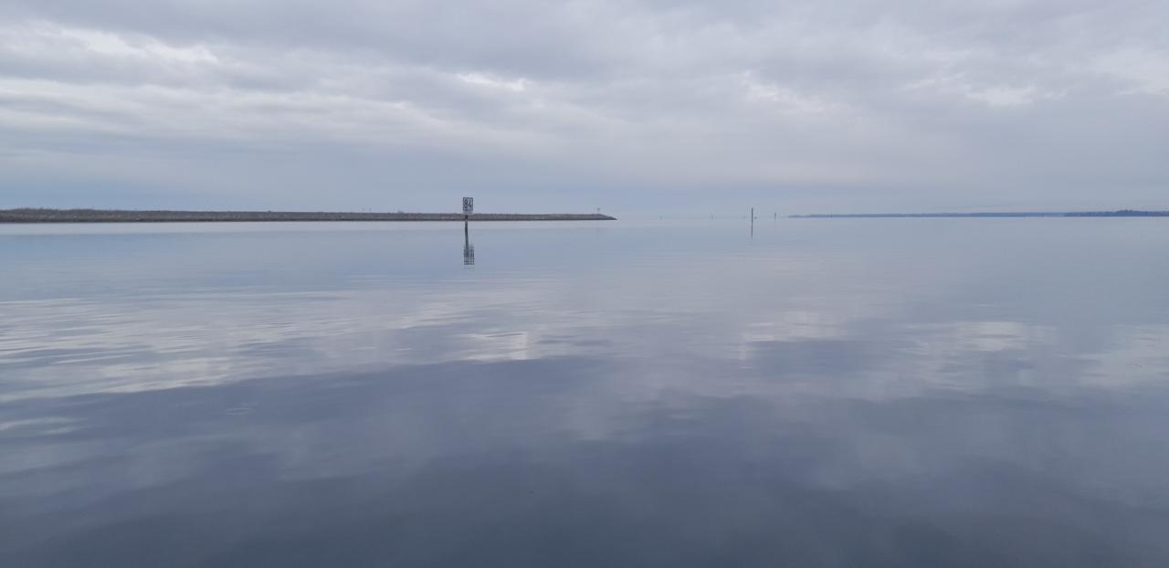 Rheinmündung